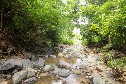Close up of pattern of river bed in mountain stream Stock Photos