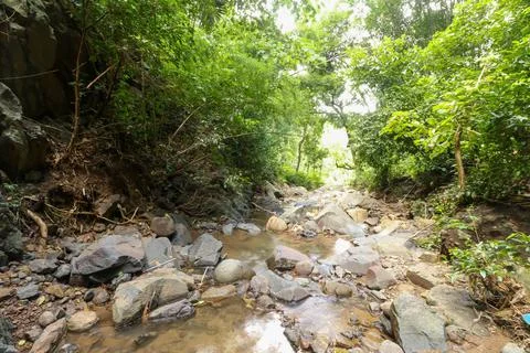 Close up of pattern of river bed in mountain stream Stock Photos
