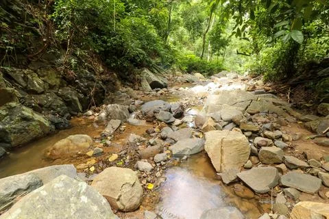 Close up of pattern of river bed in mountain stream Stock Photos
