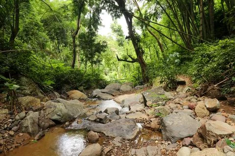 Close up of pattern of river bed in mountain stream Stock Photos