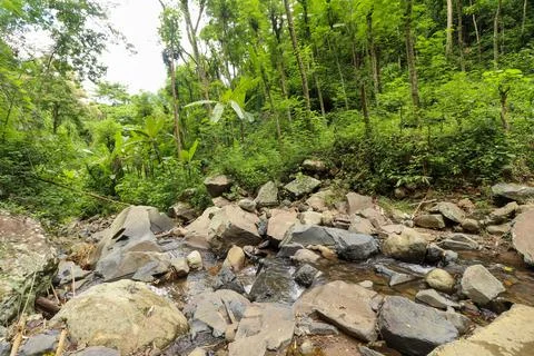 Close up of pattern of river bed in mountain stream Stock Photos
