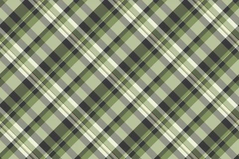 Close up pattern tartan background, down textile check fabric. Proud vector.. Stock Illustration