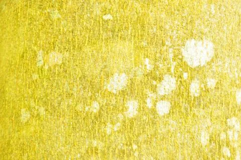 Close Up Pattern Of Tree Bark Texture For Background Foto stock