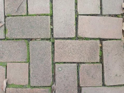 Close-up of a patterned brick pavement with moss. 스톡 사진