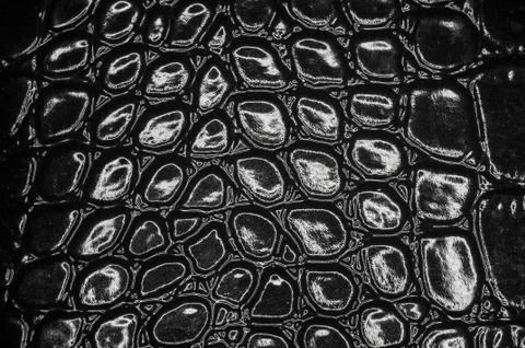 Close up of patton leather texture Stock Photos