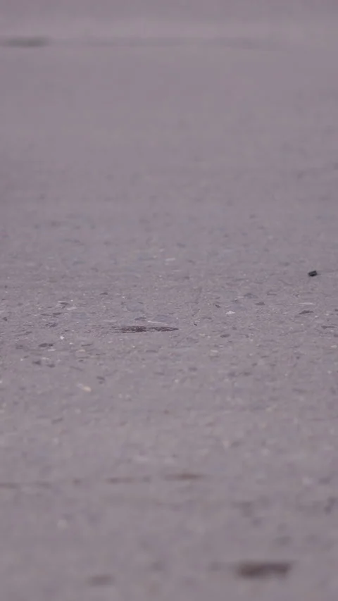 Close-up paved street in which the wheels of cars and motorcycles circulating Stock Footage 279276939