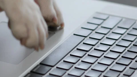 Close up paws of the dog typing text on a laptop animal business computer border Stock Footage 88103630