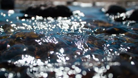 Close-up of a peaceful small river flowing. Stock Footage 295419639