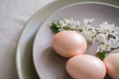 Close-up of peach Easter eggs and cherry blossom branch on grey plate. Easter Stock Photos