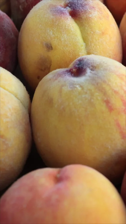 Close-Up of Peaches in Box. Handheld Shot. Vertical. Stock Footage 294895455
