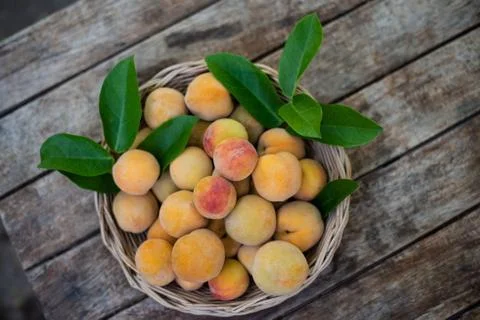 Close up peachs fruit on wood table. Stock Photos