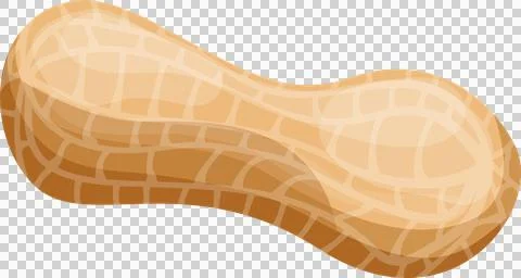 A close-up of a peanut still in the shell. The shell is brown, beige with a.. Stock Illustration