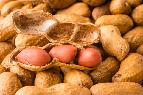 Close up of Peanuts background. Stock Photos