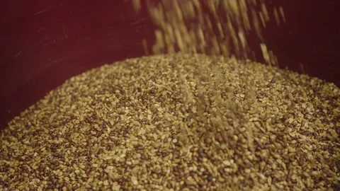 Close-up of peanuts being poured and processed in a food production facility Stockbeeldmateriaal 333823244
