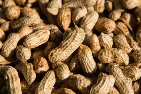 Close up on Peanuts. Stock Photos