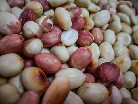 A close up Of peanuts with the reddish cover Fotos de archivo