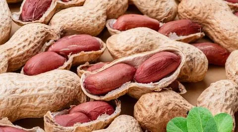 Close-up of peanuts in shells with green leaf Stock Photos
