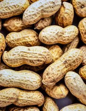 Close up peanuts surface showing natural organic nut texture and plant base.. Stock Photos