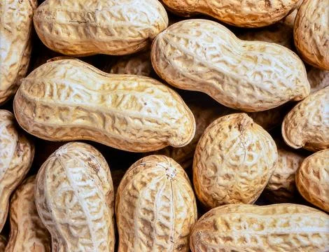 Close up peanuts surface showing natural organic nut texture and plant base.. Stock Photos