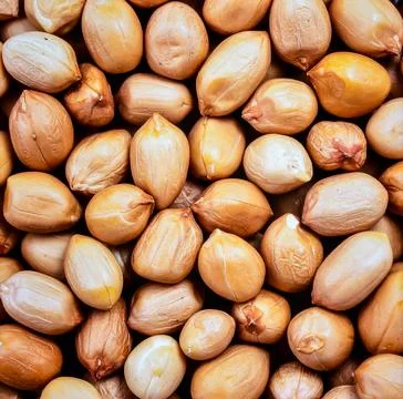 Close up peanuts surface showing natural organic nut texture and plant base.. Stock Photos