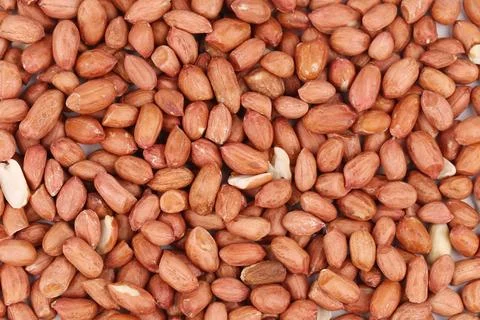 Close up of peanuts. Texture. Whole background. Stock Photos