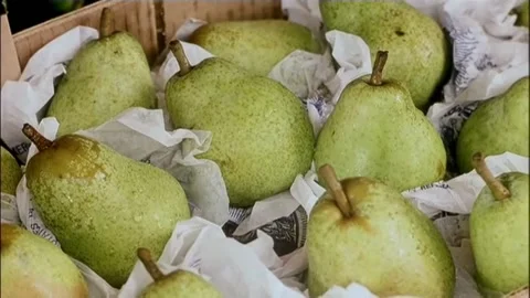 Close-up pears sitting in box Stock Footage 260248570