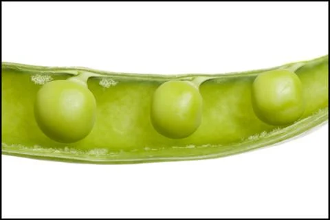 Close-up of peas in a pod Stock-Fotos