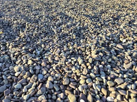 Close Up of Pebble Beach Texture Foto stock