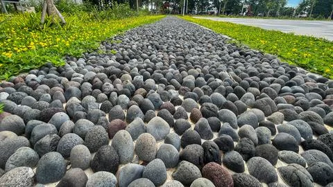 A Close-Up of a Pebble-Lined Path Stock Photos