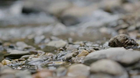 Close up Pebbles and Water Stock Footage 54708815