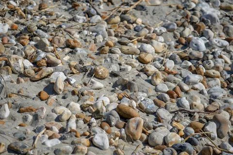 Close up of pebbles in a sandy beach 스톡 사진