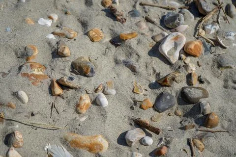 Close up of pebbles in a sandy beach Stock Photos