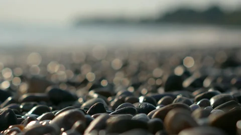 Close-up of pebbles on the sea beach Stock Footage 164256298