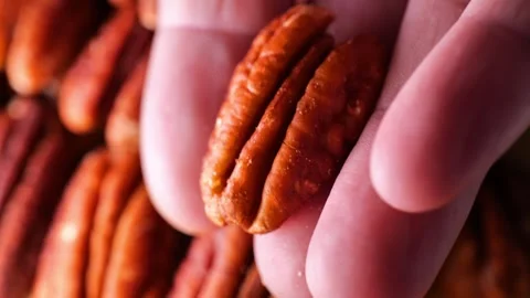 Close-up of a pecan nut on a palm. Stock Footage 317705502