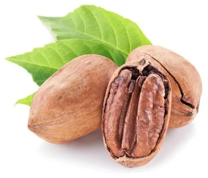 Close-up of pecan nuts with green leaves on white background Stock Photos