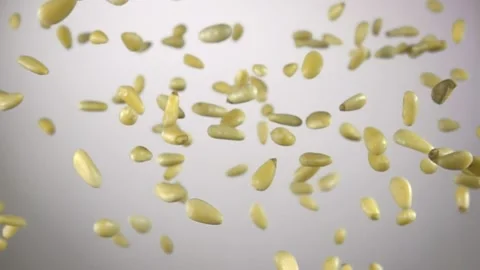 Close-up of peeled pine nuts bouncing on a white background Stock Footage 130261331