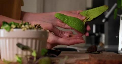 Close up of peeling fresh ripe avocado. Stock Footage 152590773