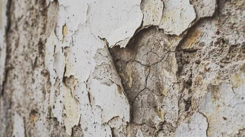 Close-up of peeling tree bark texture. Fotos Stock
