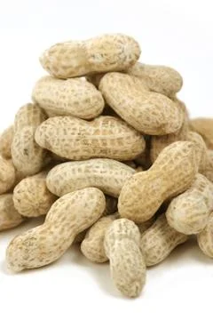 Close up on penauts Stock Photos