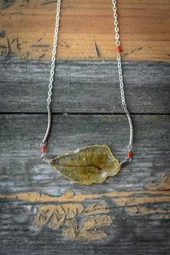 Close up pendant with dry leaf inside concept photo Stock Photos