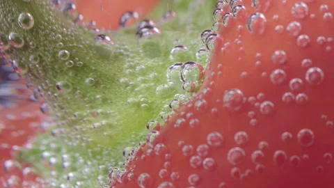 Close-Up of Pepper in Water with Bubbles Video stock 330941916