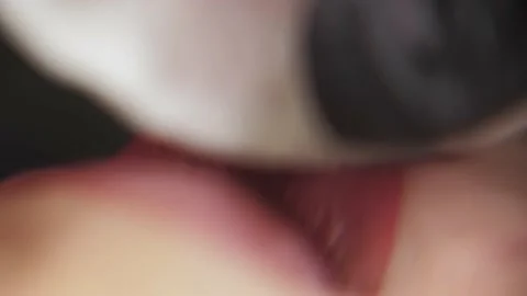 Close-up of a permanent makeup procedure. Macro Stock Footage 200823378