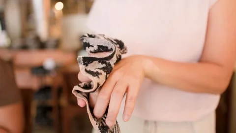 Close Up of Person Cleaning Hands with Patterned Towel in Restaurant Stock Footage 344517125