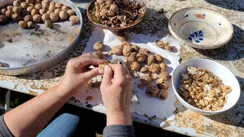 Close up of a person cracking walnuts with a nutcracker. Stock Footage 235915344