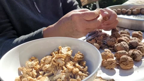 Close up of a person cracking walnuts with a nutcracker. Stock Footage 235915403