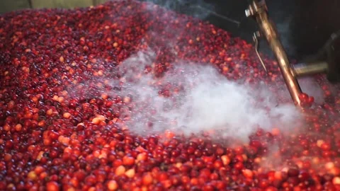 A close up of a person Stock Footage 131948125