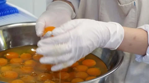 Close-up of a person in protective gloves manually separating fresh egg yolks fr Stock Footage 331772450
