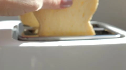 Close up of a person putting bread slices into a toaster for a quick morning Stock Footage 329757579