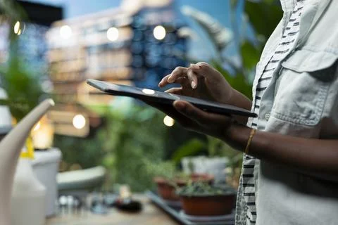 Close up of person on rooftop terrace using tablet to checkup on potted plants Stock Photos