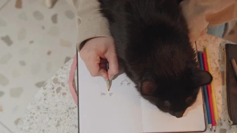 Close up of person sketching small shapes in notebook with black cat resting Stock Footage 345067799